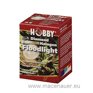 HOBBY Diamond Halogen Floodlight 100 W