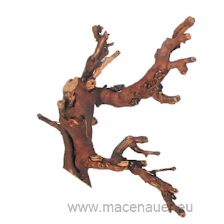 MACENAUER Rebholz, Dunkel, Small, 30 cm 