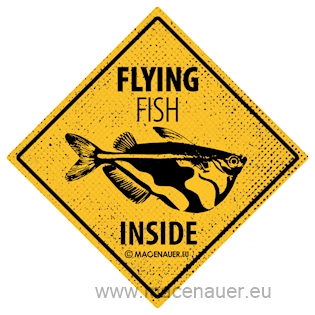 Macenauer Samolepka Flying fish inside,7,5x7,5 cm