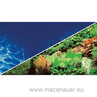 HOBBY Fototapeta Pflanzen Marine Blue 100x50 cm