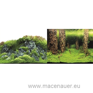 MACENAUER Fototapeta 4L, 100 x 50 cm