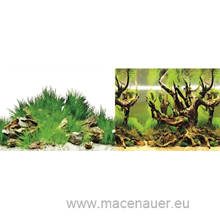 MACENAUER Fototapeta 6XL, 150 x 60 cm