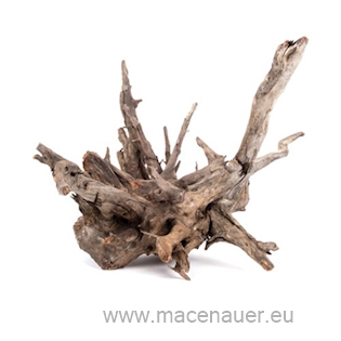 MACENAUER Corbo-Wurzel Medium, 30-40 cm