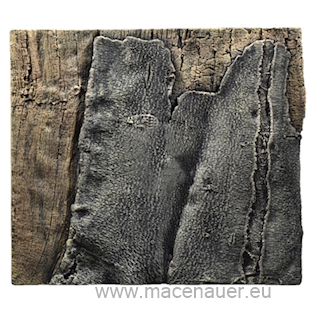 BACK TO NATURE Slimline 50B Amazonas 50x45 cm