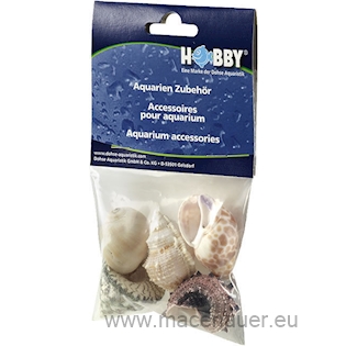 HOBBY Sea Shells Set L, 5ks v balení