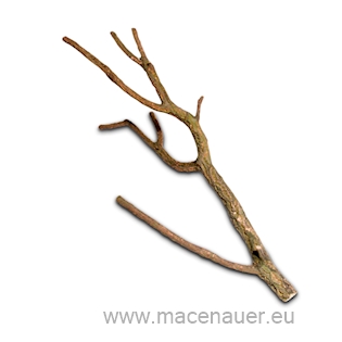 Macenauer Korková větev do 50 cm