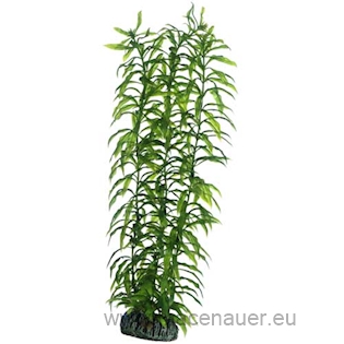 HOBBY Plastová rostlina Heteranthera, 34cm