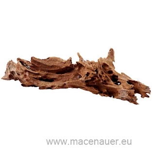 MACENAUER Mangrovenholz M 25-35cm