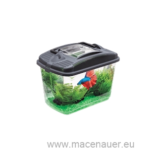 AQUAEL Betta kit akvarijní set, 3 l