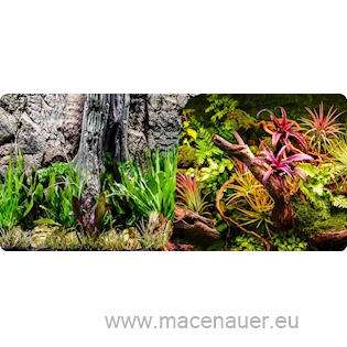 Macenauer Fototapeta 9XL 150 x 60 cm