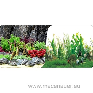 Macenauer Fototapeta 11S 60 x 30 cm