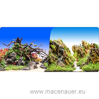 Macenauer Fototapeta 12XL 150 x 60 cm