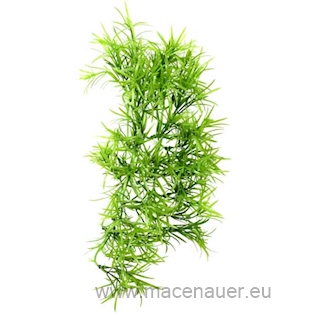 HOBBY Dekorace Climber Tropica 37 cm, SB