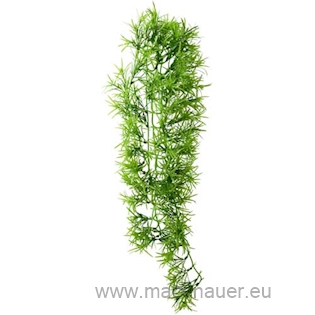 HOBBY Dekorace Climber Tropica 70 cm, SB