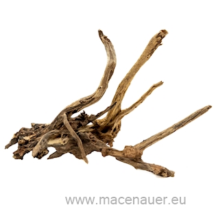 MACENAUER Kořen Black Slim Wood L, 45-60cm