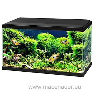 CIANO Akvarijní set Aquarium 60, černé, 58 l