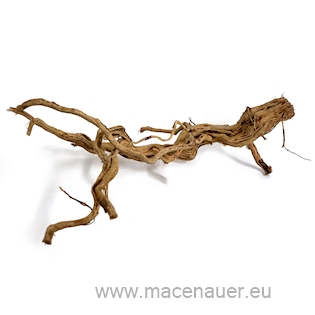 MACENAUER Kořen Curl Wood S (Č.: 81201)