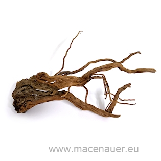 MACENAUER Kořen Curl Wood S (Č.: 81203)