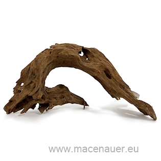 MACENAUER Mangroven-Wurzel, střední 25-35 cm