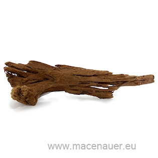  MACENAUER Mangroven-Wurzel, malý 15-25 cm