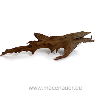 MACENAUER Mangroven-Wurzel XL, 80-90 cm