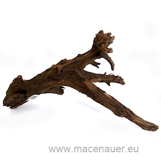 MACENAUER Mangroven-Wurzel, velký 35-60 cm