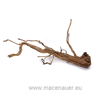 MACENAUER Kořen Curl Wood S, 30-55cm