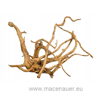 MACENAUER Finger Wood L (Red Moor wood, Amano wood), 40-60 cm