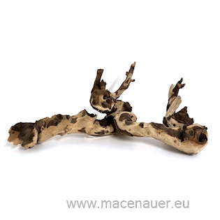 MACENAUER Mopani 1 kg