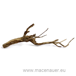 MACENAUER Kořen Talawa Wood 1 kg