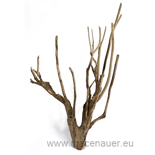MACENAUER Kořen Talawa Wood XL, 80-100 cm, 1 ks