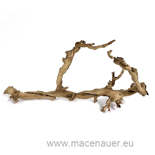 MACENAUER Rebholz, Hell, Small, 30 cm