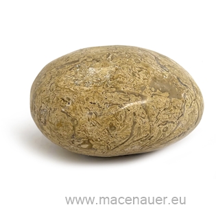 MACENAUER Golden fossil