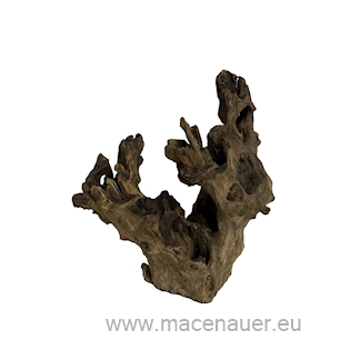 MACENAUER Kořen Barico - Wurzel M (Č.: 81217)