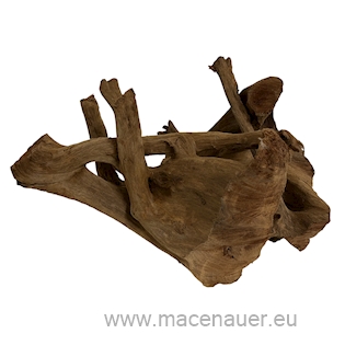 MACENAUER Kořen Amazonas Root XL, (Č.: 81220)