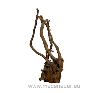 MACENAUER Kořen Finger Wood (Č.: 81223)