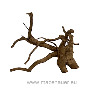 MACENAUER Kořen Finger Wood (Č.: 81224)