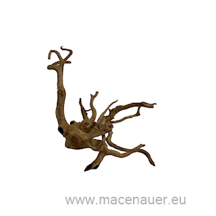 MACENAUER Kořen Finger Wood (Č.: 81225)