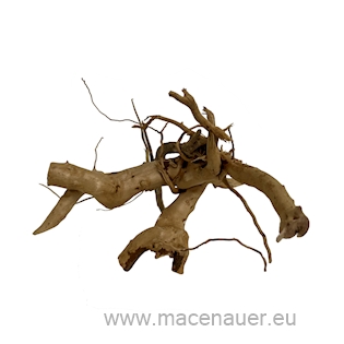 MACENAUER Kořen Finger Wood (Č.: 81226)