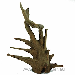 ORBIT Kořen Corbo-Wurzel S, 30-40cm