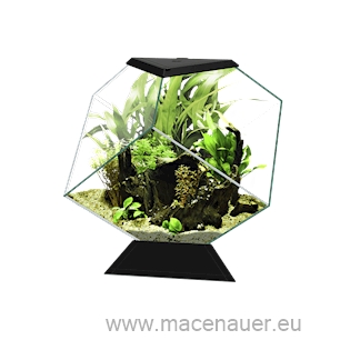 CIANO Akvárium Nexus Pure Diamond 14C, černé, 14 l 