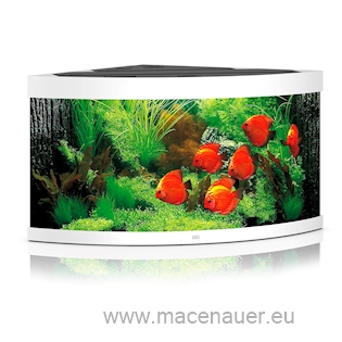 Akvárium Juwel trigon 350 LED bílé
