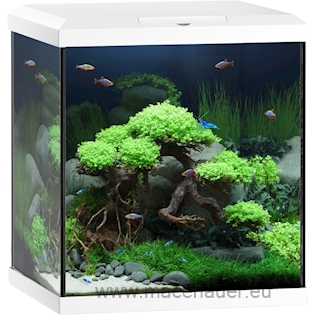 Juwel Akvárium Vio Cube 54, bílé, 54 l