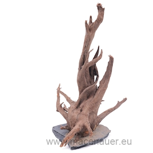 Angkor-Tree S, 15-25 cm