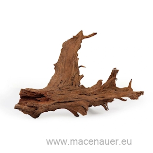 Mangrove S 20cm 25ks/pytel