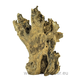 Kořen Barico, Velký  30-40cm