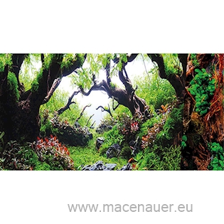 HOBBY Pozadí Deštný prales 50x60 cm