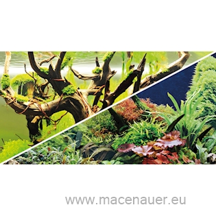 HOBBY Pozadí Regenwald 50x100 cm SB