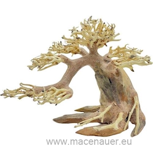 Aqua Bonsai, XL 50x70cm