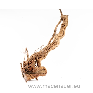 Curl Wood 81228